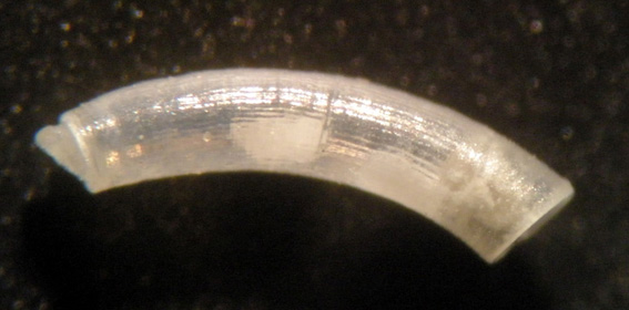 Il Caecum che vedete.......